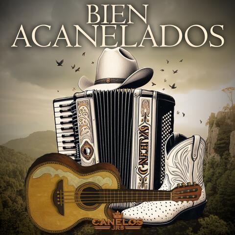 BIEN ACANELADOS album art