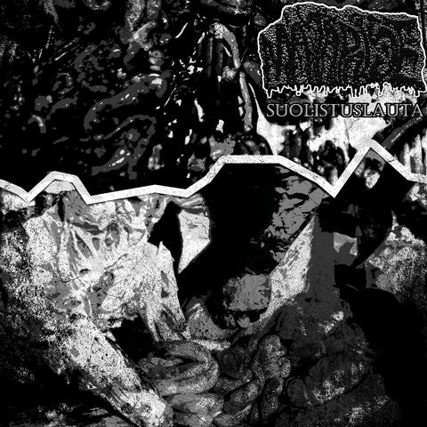 SUOLISTUSLAUTA album art