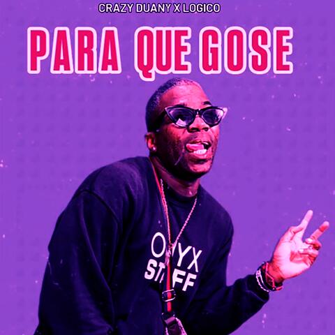 PA QUE GOSE album art