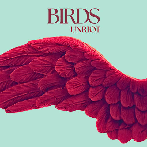 BIRDS album art