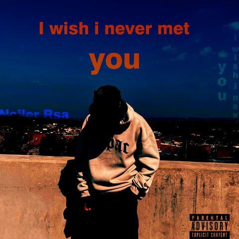 i wish i never met you album art