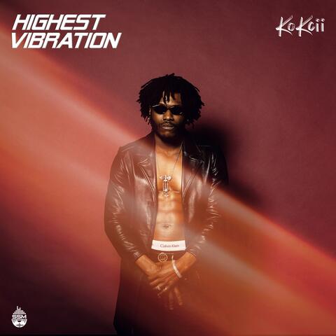 Highest vibration album art