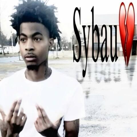 sybau! album art
