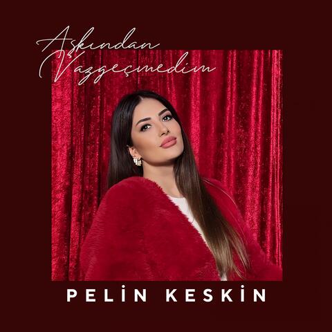 Aşkından Vazgeçmedim album art