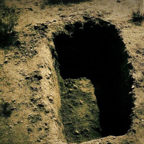 all that weight! album art