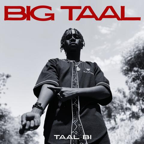 BIG TAAL album art