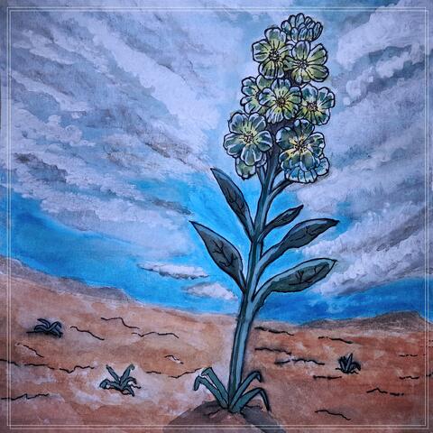 ALELHÍ album art