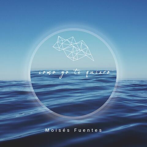 Como yo te quiero album art