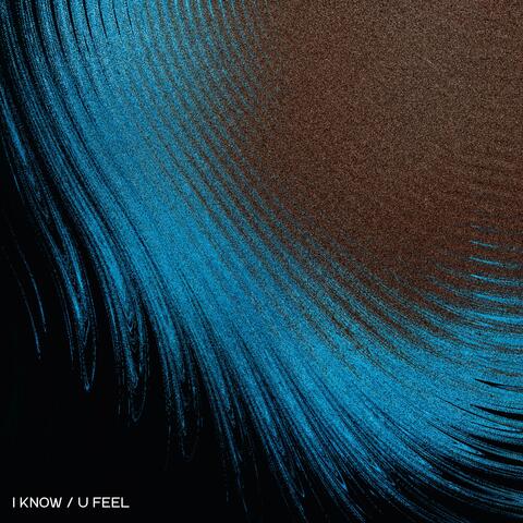 i know / u feel album art
