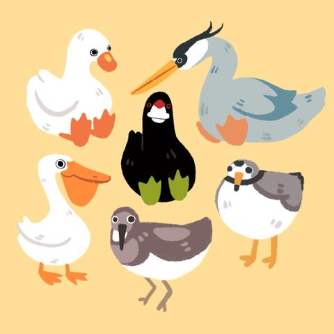 beats for birds album art