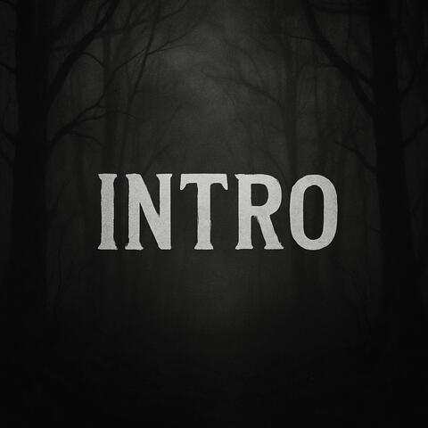 INTRO album art