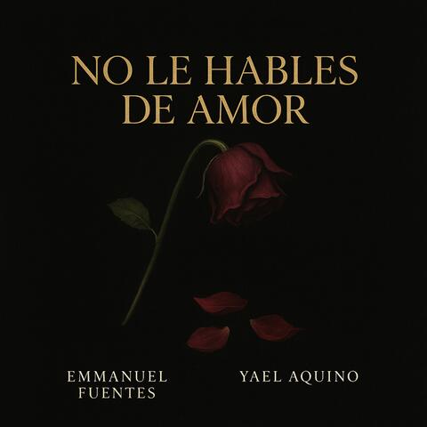 No Le Hables De Amor album art