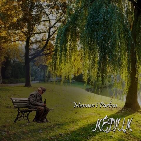 Mannen i Parken album art