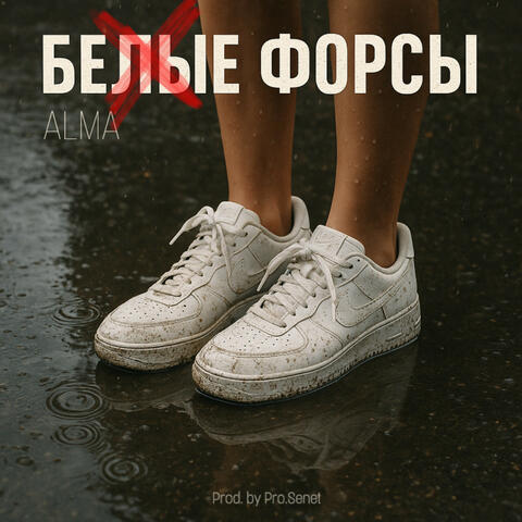 БЕЛЫЕ ФОРСЫ album art