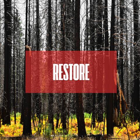 RESTORE album art
