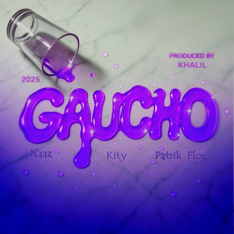 Gaucho album art