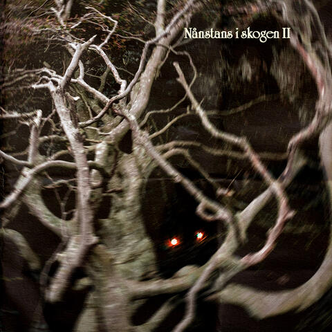 Nånstans i skogen II album art