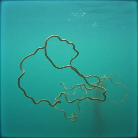 Drifting Deeper album art