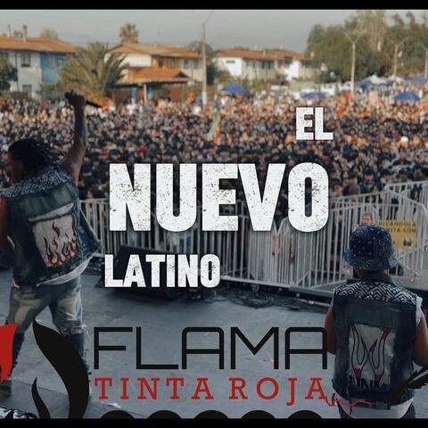 EL NUEVO LATINO album art