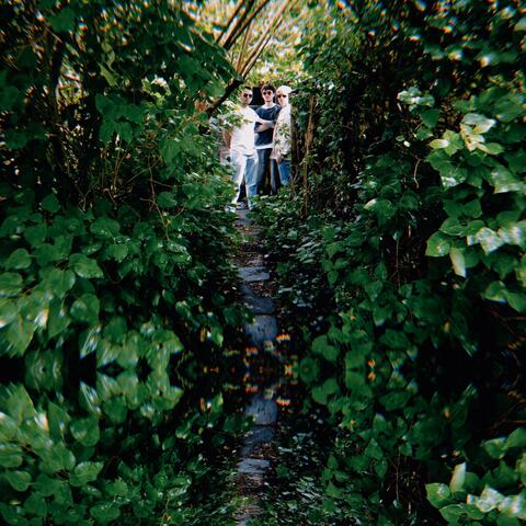 greener album art