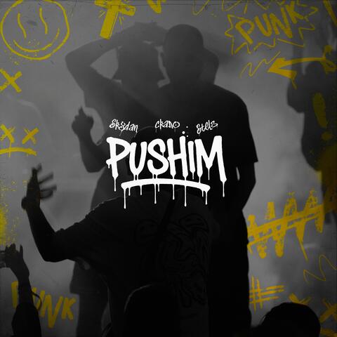 PUSHIM album art