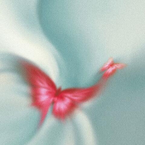 confidence album art