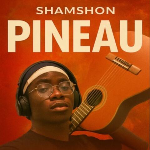 PINEAU album art