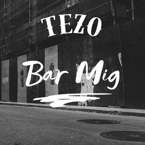 Bar mig album art