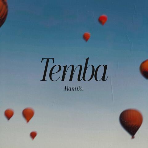 Temba album art