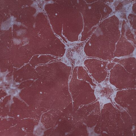 Spectral Coil album art