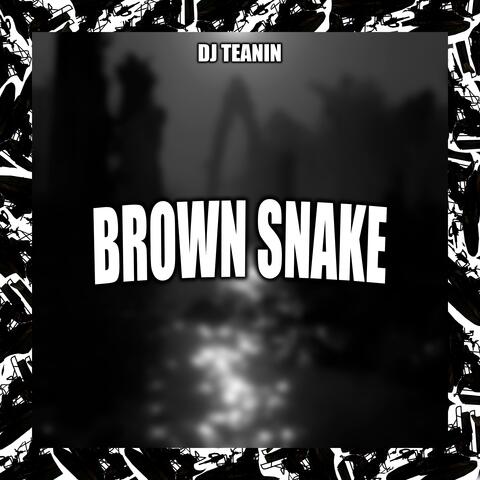 Brown Snake album art