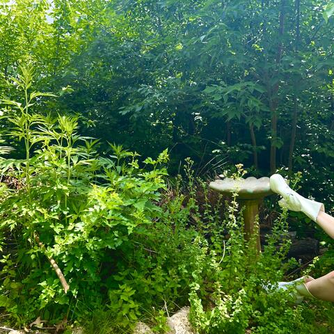 All These Pearls! album art