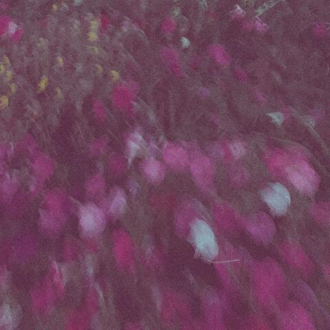 Somber album art