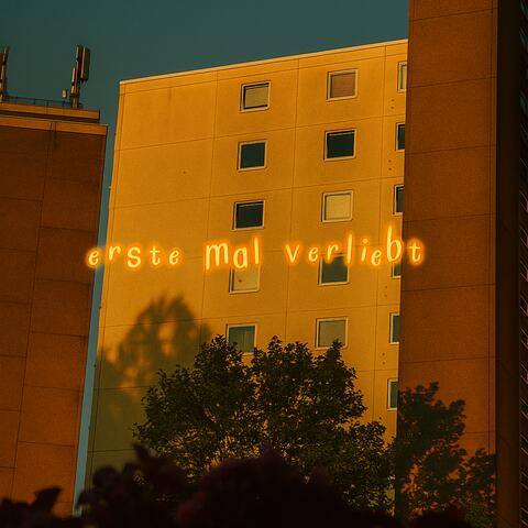 erste mal verliebt album art
