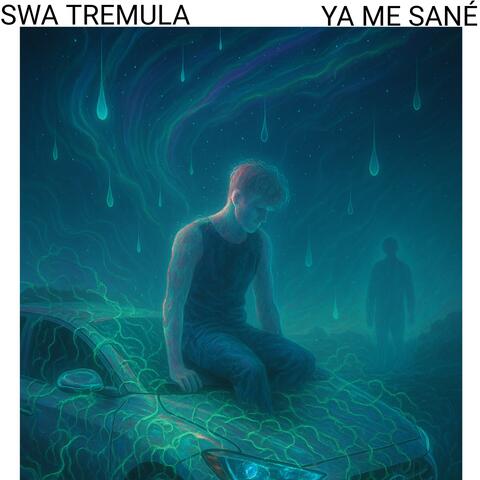 YA ME SANÉ album art