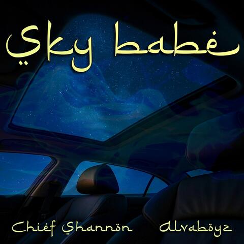 SKY BABE album art