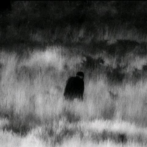 placca album art
