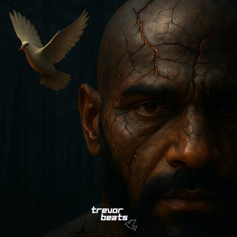 Wounded Soul album art