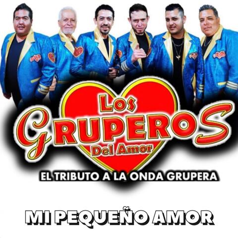 Mi Pequeño Amor album art