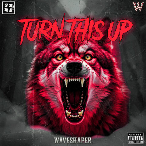 TURN THIS UP album art