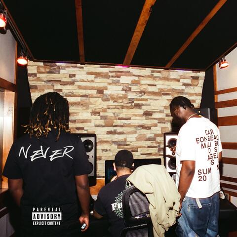 Never album art