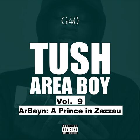 Tush Area Boy, Vol. 9 ArBayn: A Prince in Zazzau album art