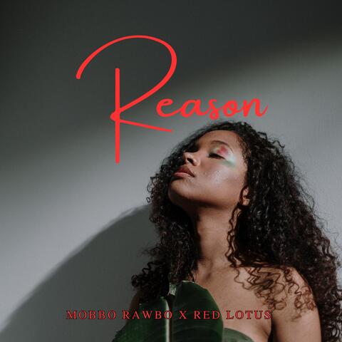 Reason album art