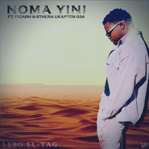 Noma Yini album art