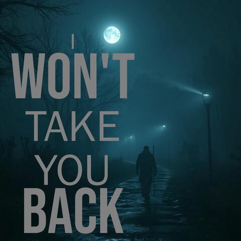 I wont Take You Back album art