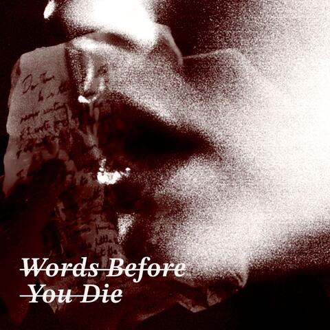 Words Before You Die album art