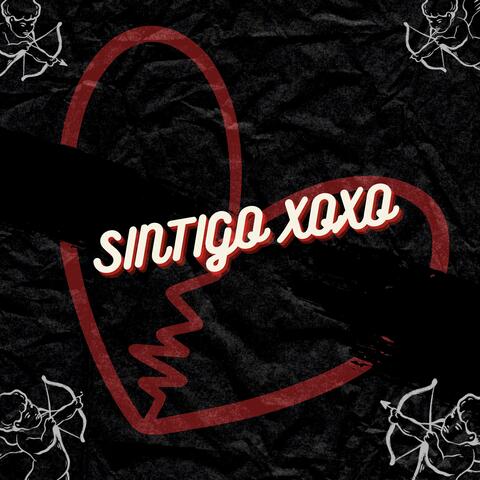 Sintigo xoxo album art