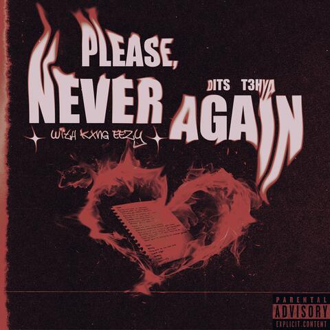 Please, Never Again album art