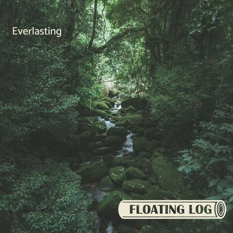 Everlasting album art