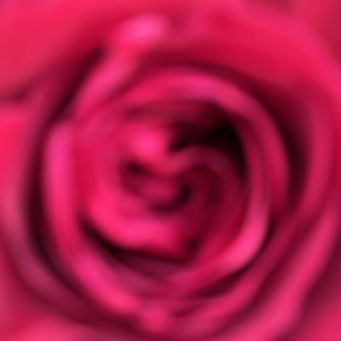 du und ich album art